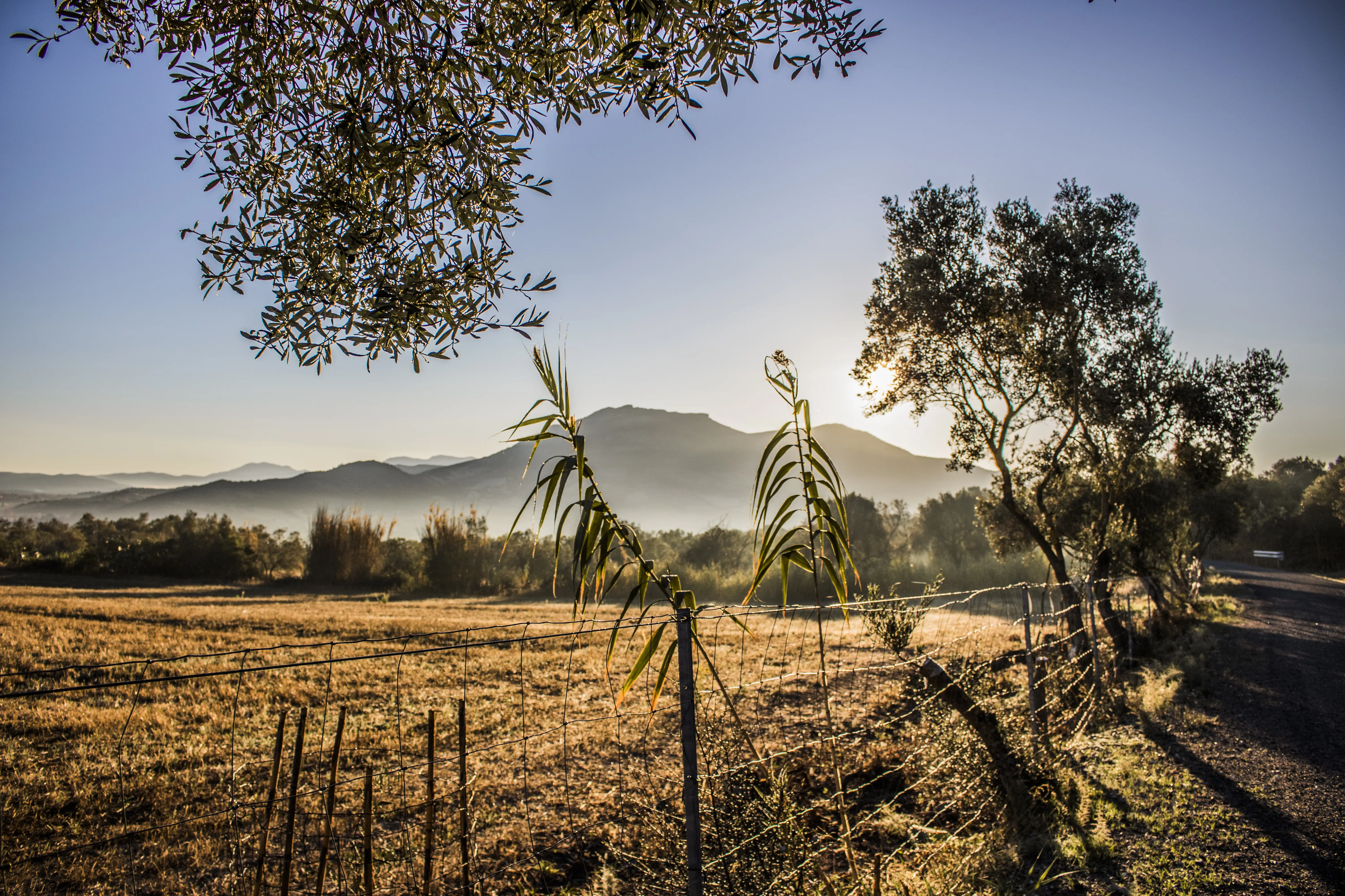 Fotografia paesaggio 6